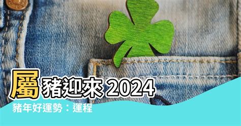 豬年運程2024|2024 肖豬流年運程 